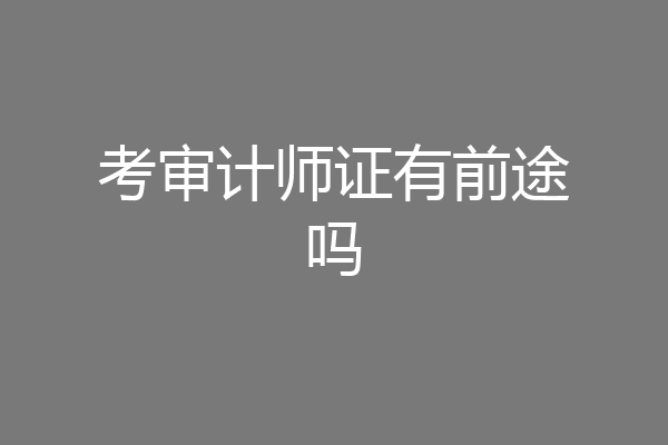 考审计师证有前途吗