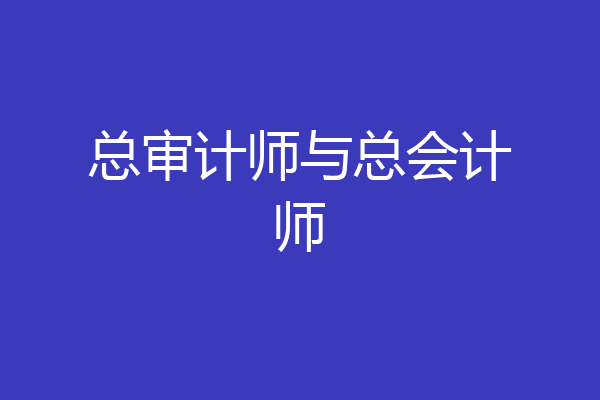 总审计师与总会计师