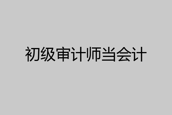 初级审计师当会计