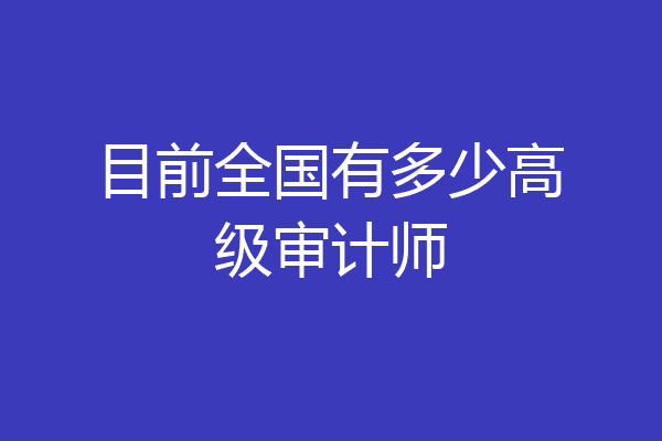 目前全国有多少高级审计师