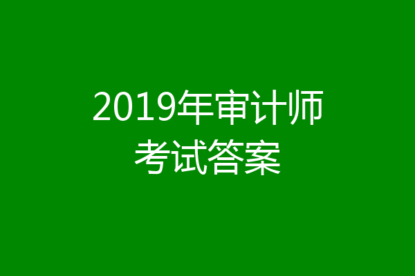 2019年审计师考试答案