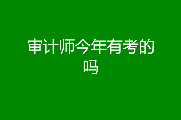 审计师今年有考的吗