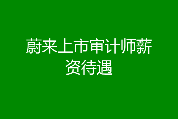 蔚来上市审计师薪资待遇
