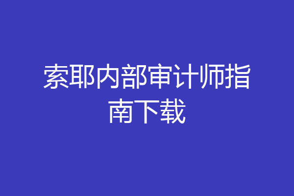 索耶内部审计师指南下载