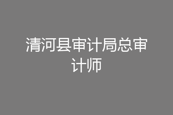 清河县审计局总审计师
