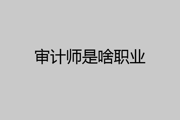 审计师是啥职业