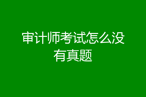 审计师考试怎么没有真题
