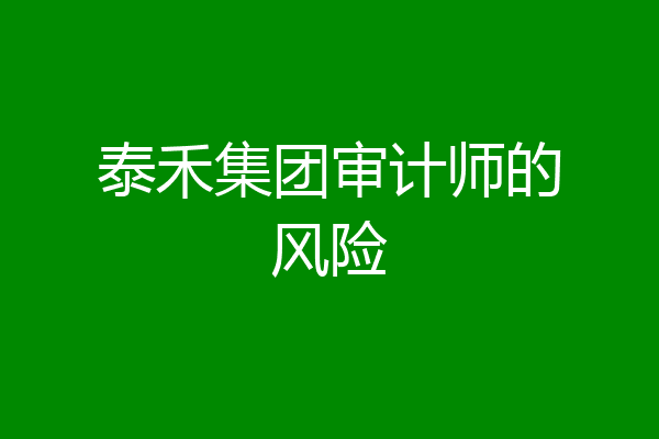 泰禾集团审计师的风险