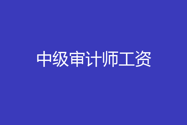 中级审计师工资