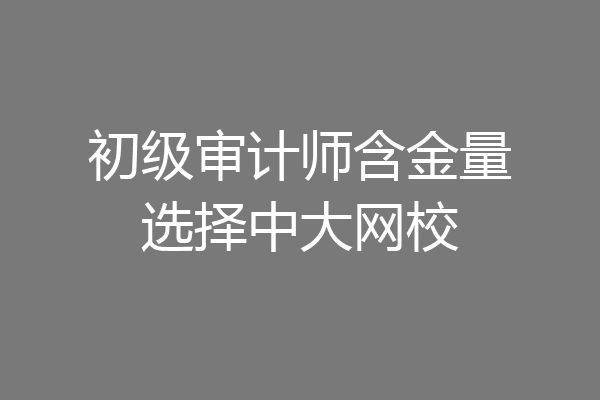 初级审计师含金量选择中大网校