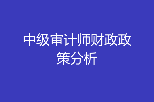 中级审计师财政政策分析