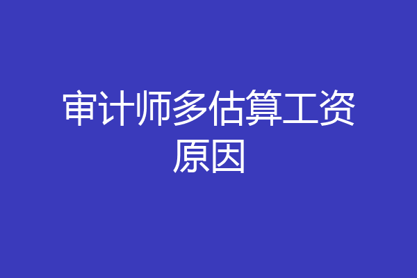 审计师多估算工资原因