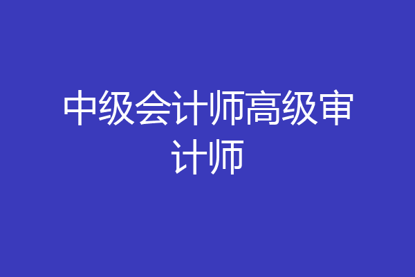 中级会计师高级审计师
