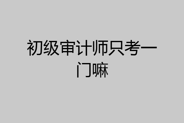初级审计师只考一门嘛