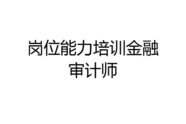 岗位能力培训金融审计师
