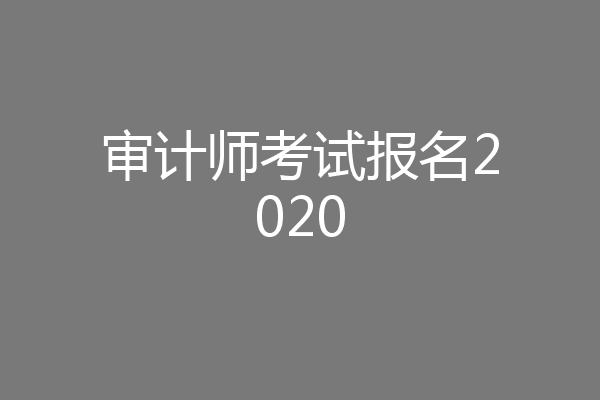 审计师考试报名2020