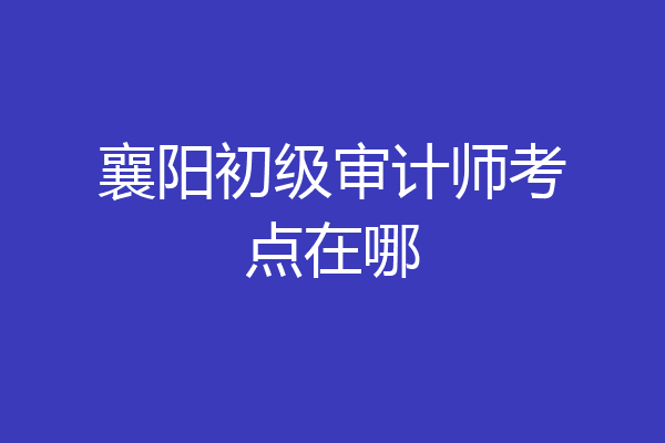 襄阳初级审计师考点在哪