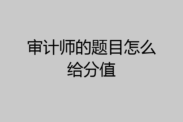 审计师的题目怎么给分值