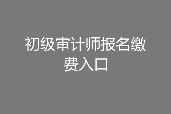 初级审计师报名缴费入口