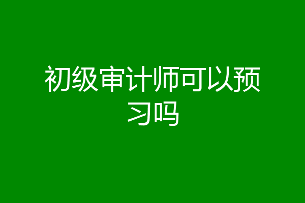 初级审计师可以预习吗