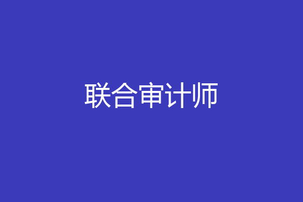 联合审计师