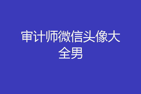 审计师微信头像大全男