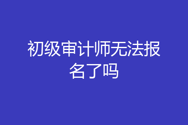 初级审计师无法报名了吗