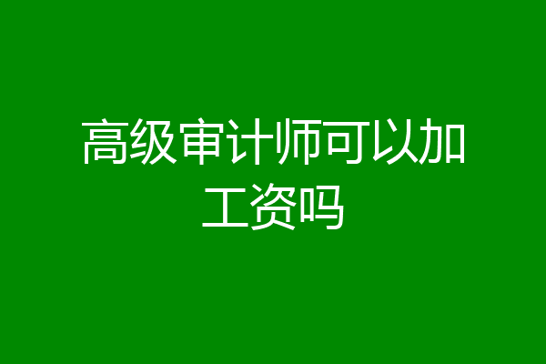 高级审计师可以加工资吗