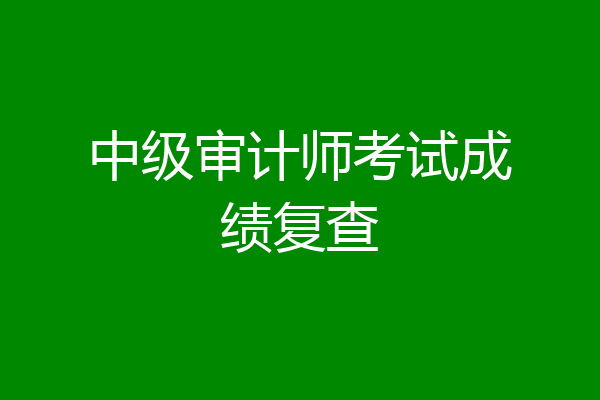 中级审计师考试成绩复查