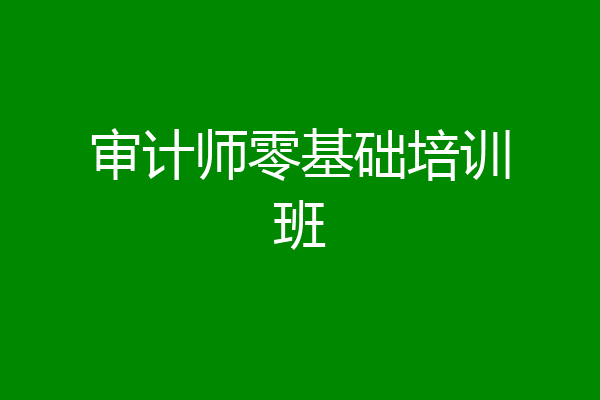 审计师零基础培训班