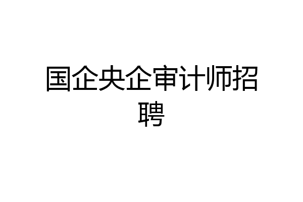 国企央企审计师招聘
