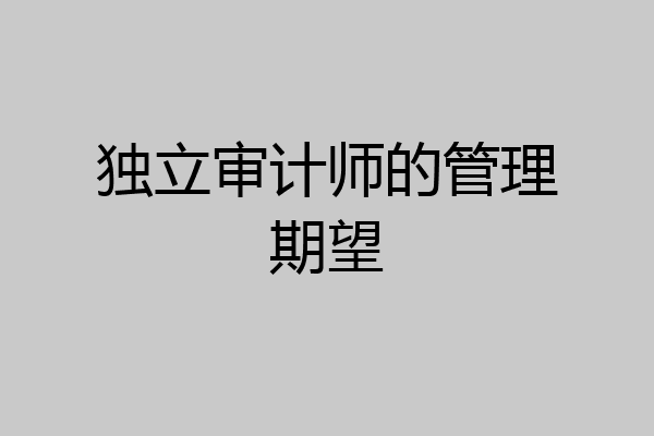 独立审计师的管理期望