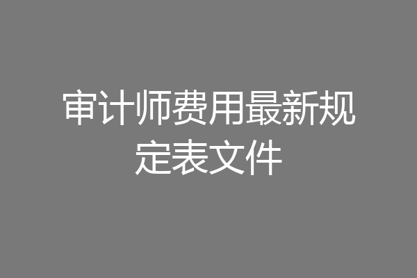 审计师费用最新规定表文件