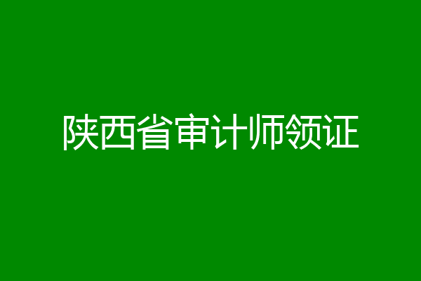 陕西省审计师领证