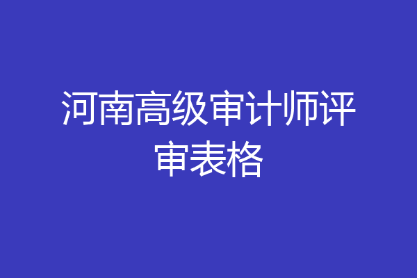 河南高级审计师评审表格