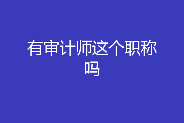 有审计师这个职称吗