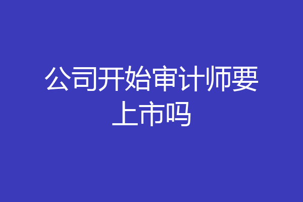 公司开始审计师要上市吗
