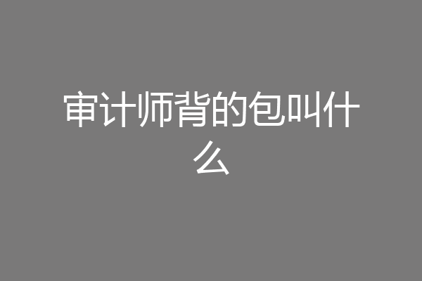 审计师背的包叫什么