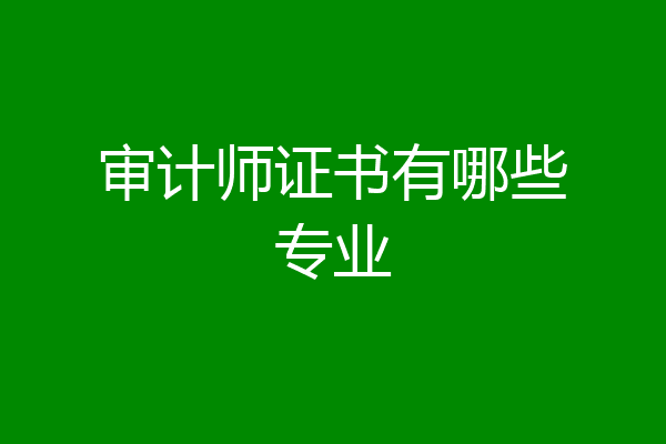 审计师证书有哪些专业