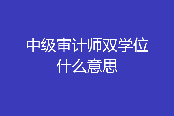 中级审计师双学位什么意思