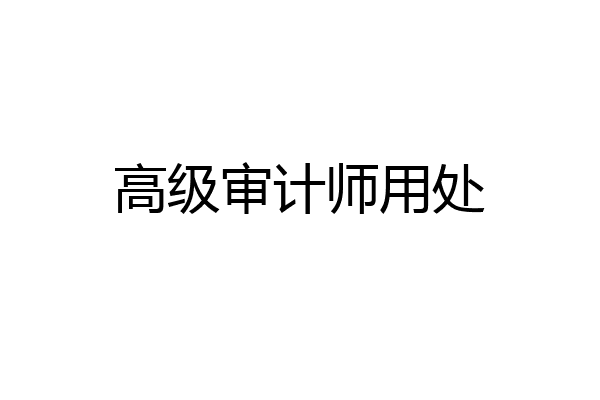 高级审计师用处