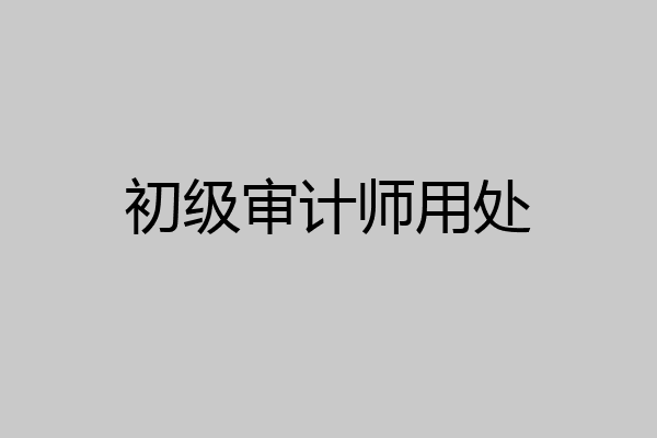 初级审计师用处