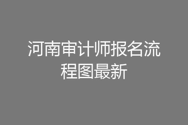 河南审计师报名流程图最新