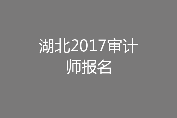 湖北2017审计师报名