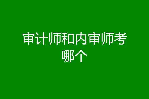 审计师和内审师考哪个