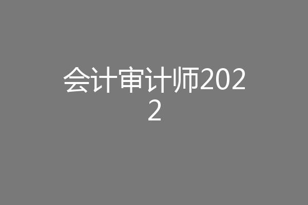 会计审计师2022