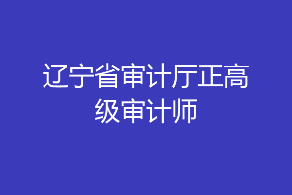 辽宁省审计厅正高级审计师