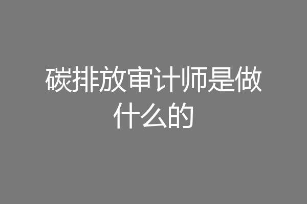 碳排放审计师是做什么的