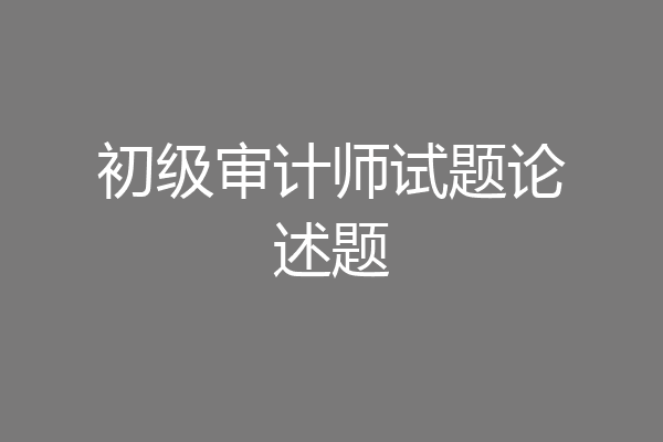 初级审计师试题论述题