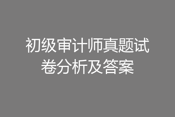 初级审计师真题试卷分析及答案